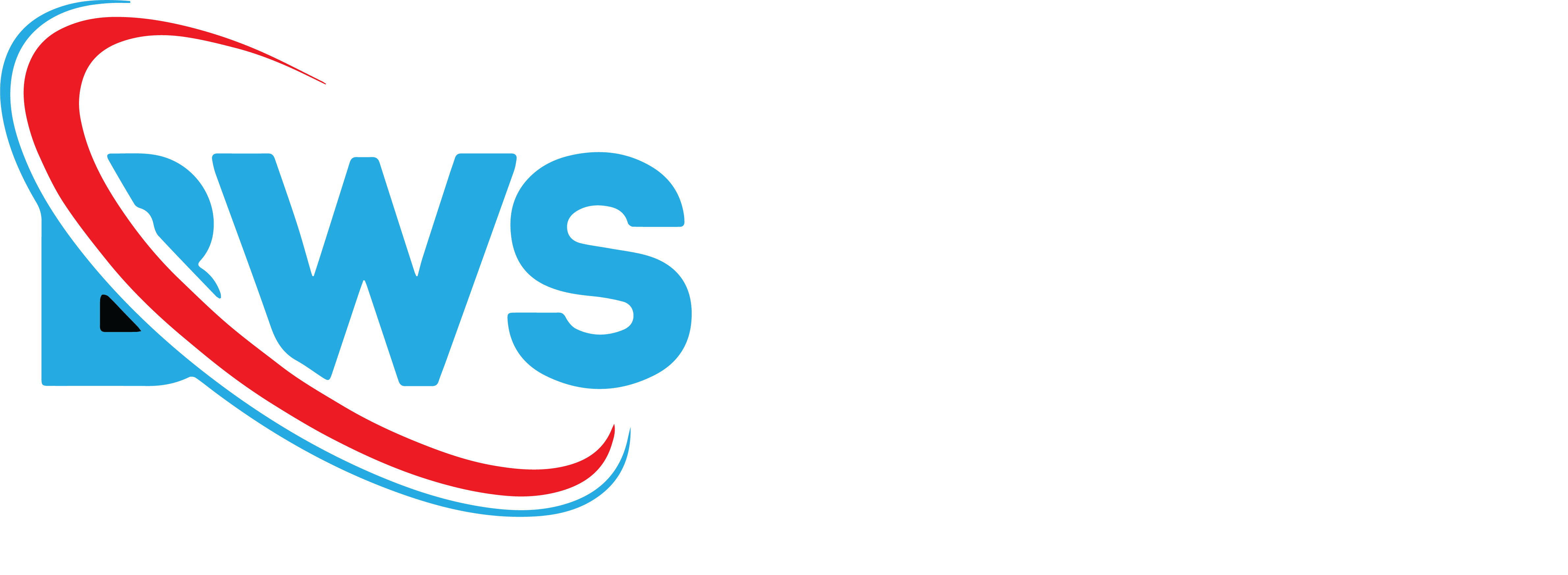 BWS Management Logo